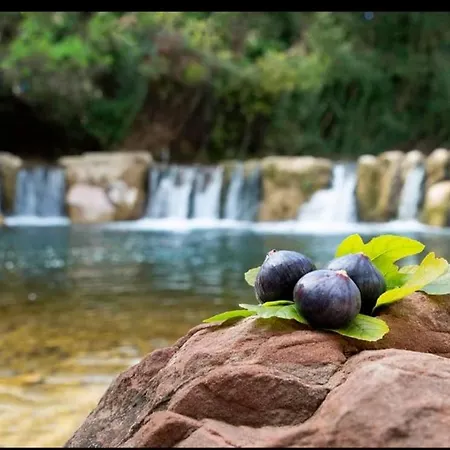 Mobile-home Climatisé Dans Avec Piscine Jusqu'à 6 Personnes *